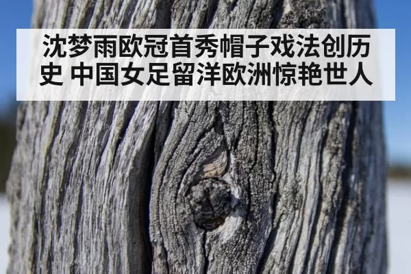 沈梦雨欧冠首秀帽子戏法创历史 中国女足留洋欧洲惊艳世人